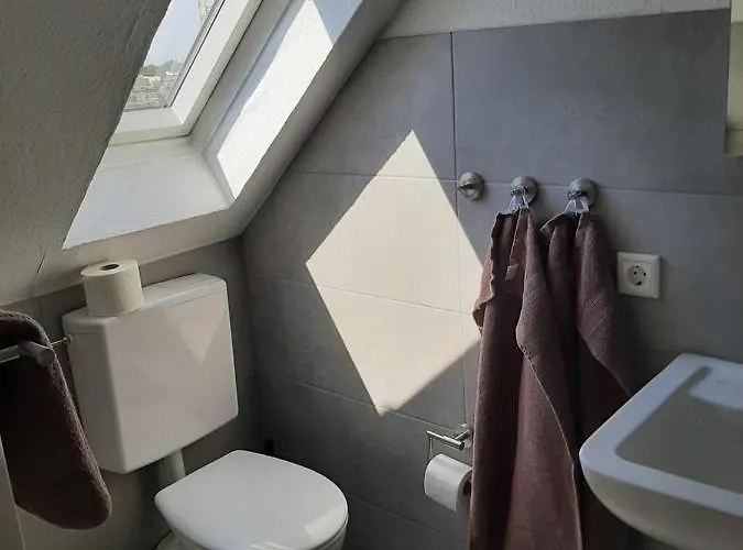 Asche 3* Munster (North Rhine-Westphalia)